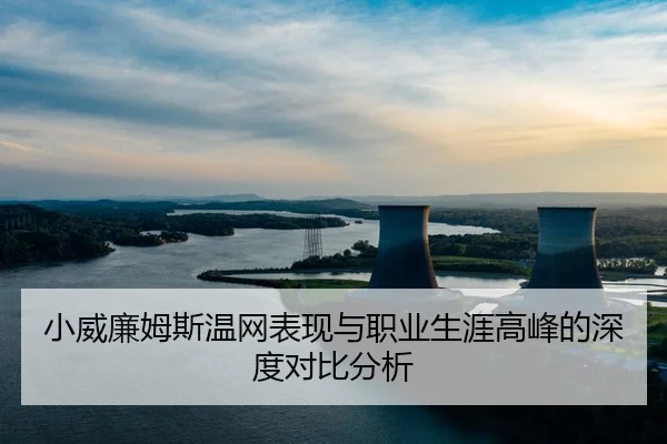 小威廉姆斯温网表现与职业生涯高峰的深度对比分析